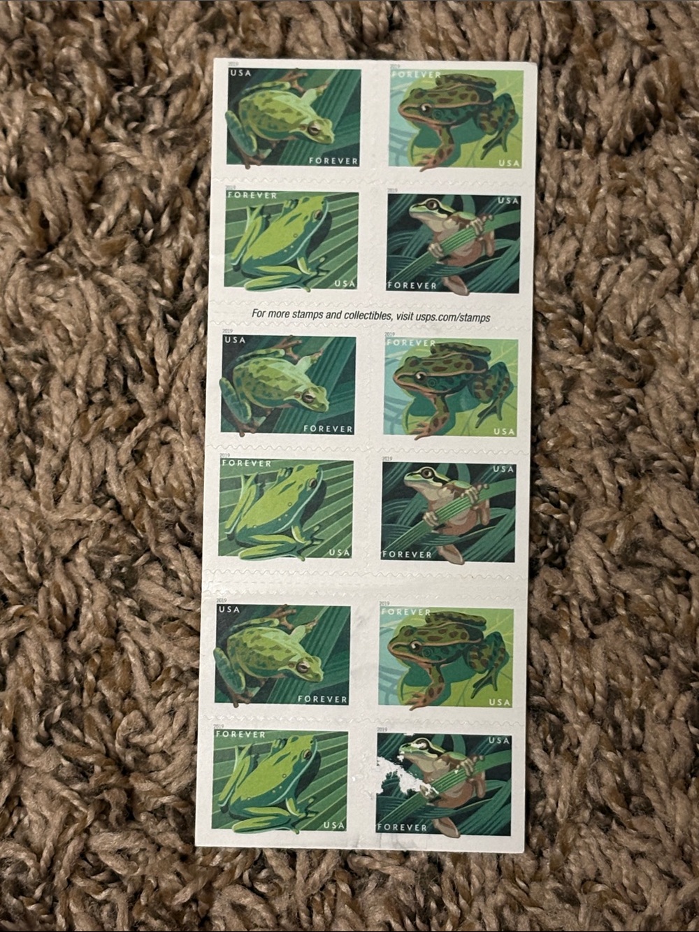 USPS Forever First Class Frog Stamps - 20 Count New 2018